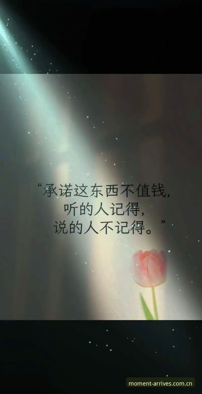 当"片刻已至"成为承诺，浩瀚体育CN网页入口安卓版凭什么让人相信？